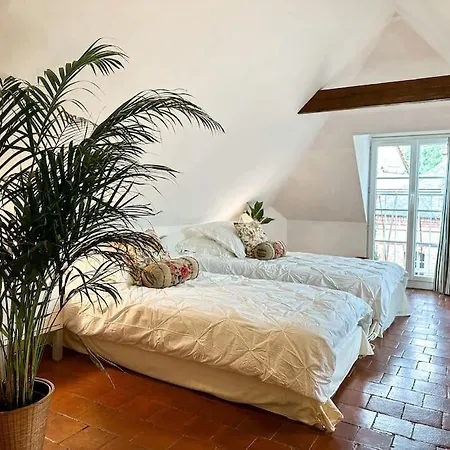 Holiday home Chateau Le Bas Bleu, Maison D'hotes L'independance : 12p *