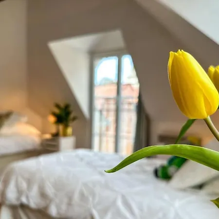Chateau Le Bas Bleu, Maison D'hotes L'independance : 12p Holiday home